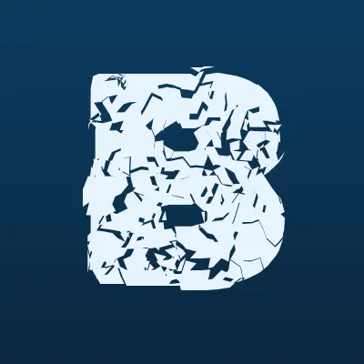 Броу Косметикс Рус, компания, лого-визитка