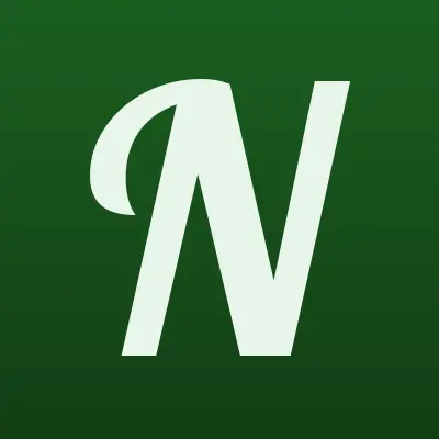 NL store, торговая компания, лого-визитка